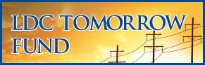 LDC Tomorrow Fund Logo